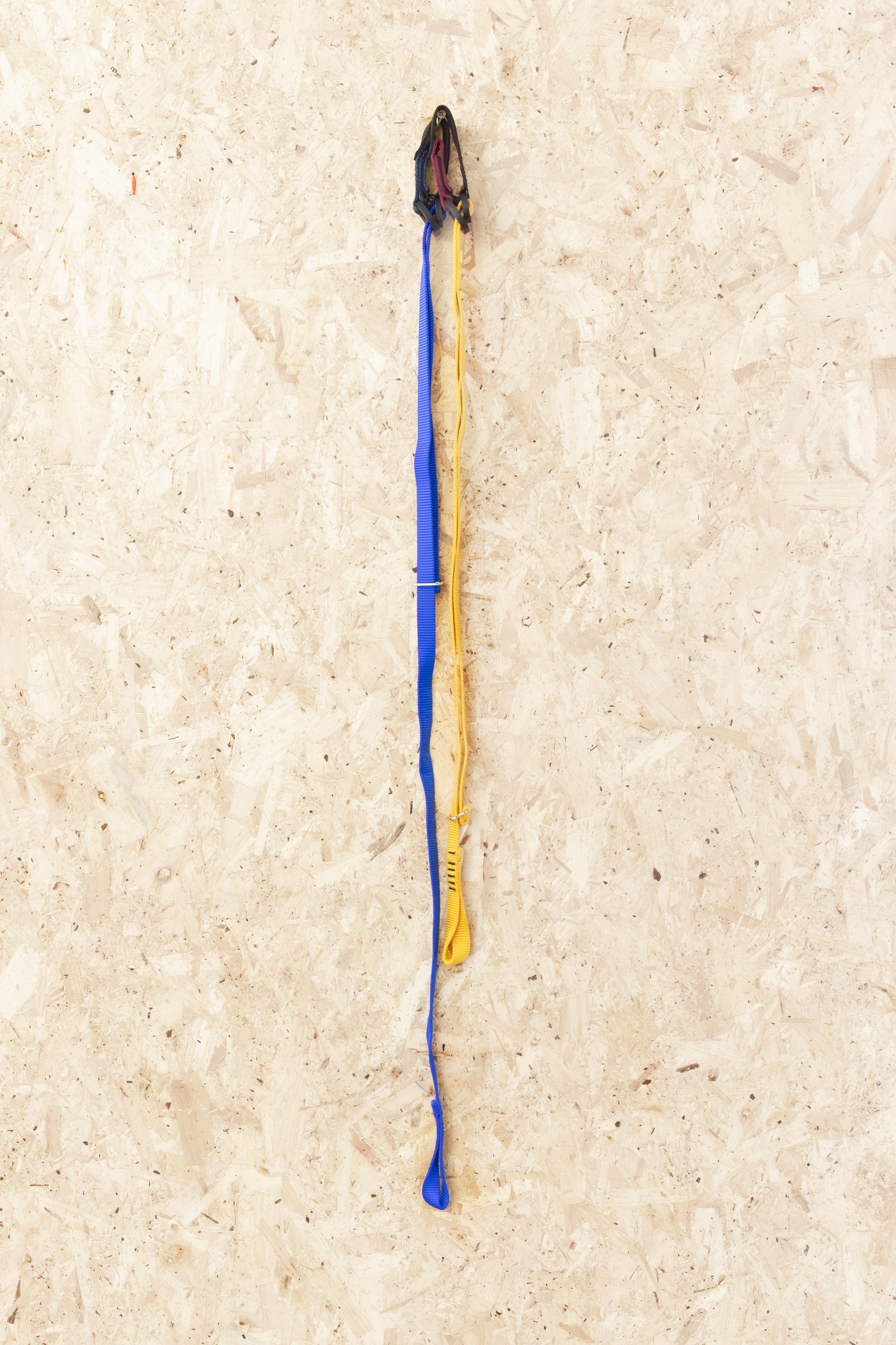 Easy Daisy Metolius $12.00 - Climbing Venezuela