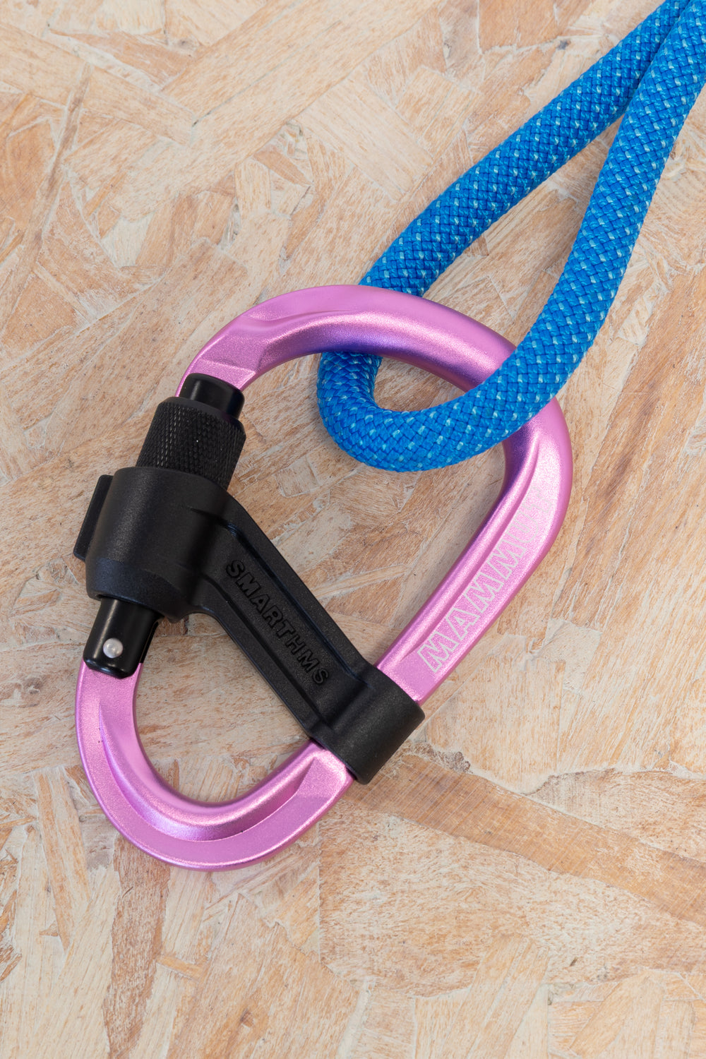 Mammut - Smart HMS 2.0