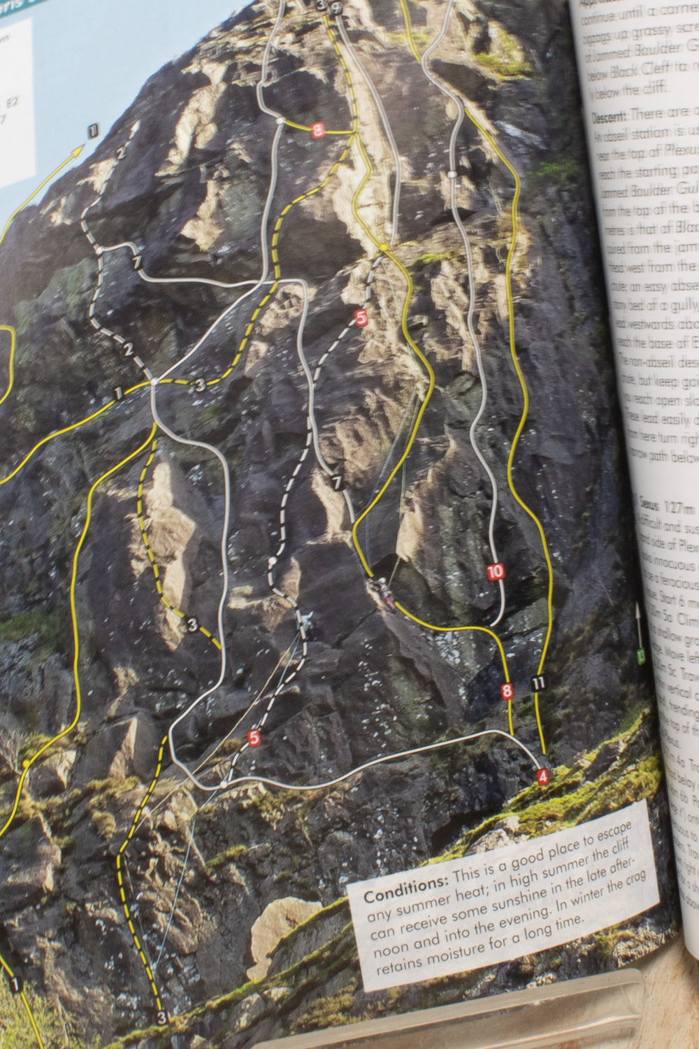 Climbers