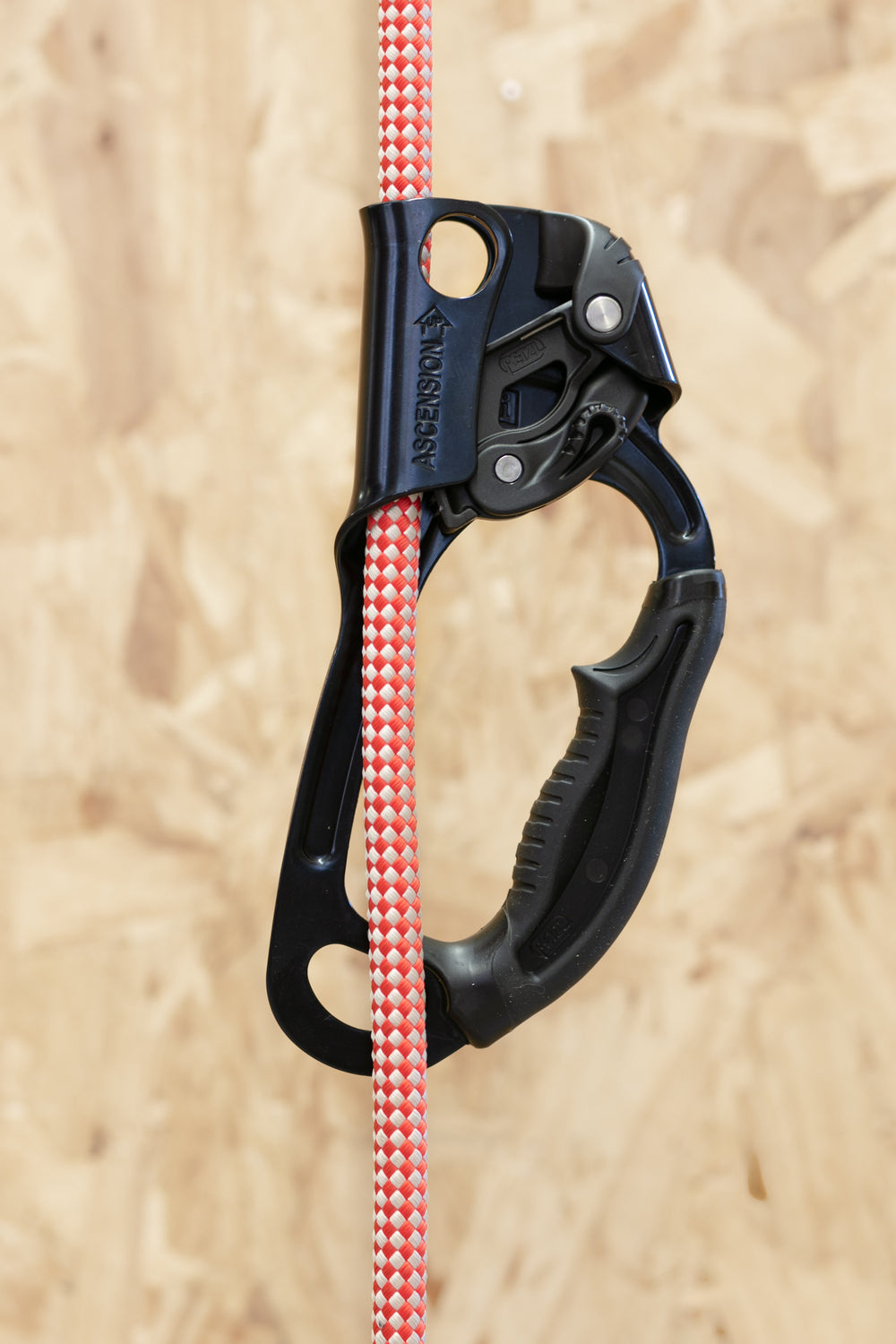 Petzl - Ascension