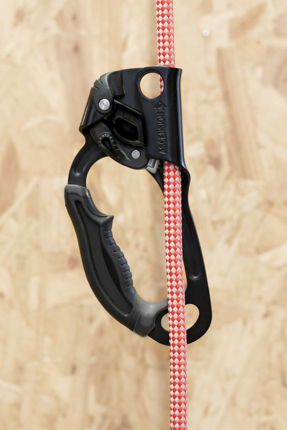 Petzl - Ascension